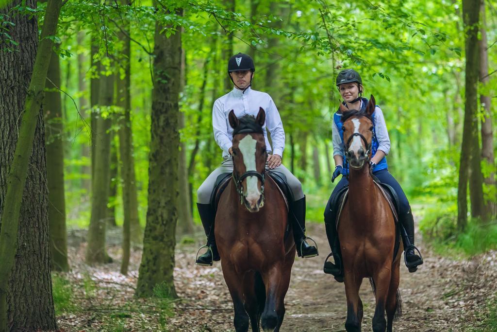 Hubertus Aparthotel & Restaurant & Horse Club สตาโรการ์ด กดังสกี ห้อง รูปภาพ